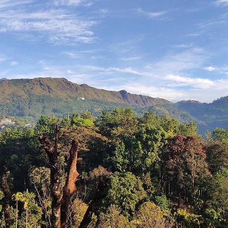 Green Tea View Munnar Dış mekan fotoğraf