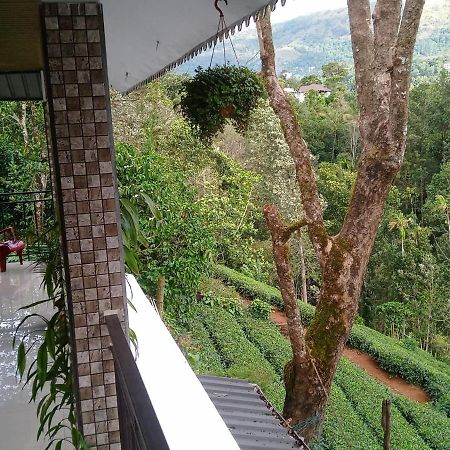 Green Tea View Munnar Dış mekan fotoğraf
