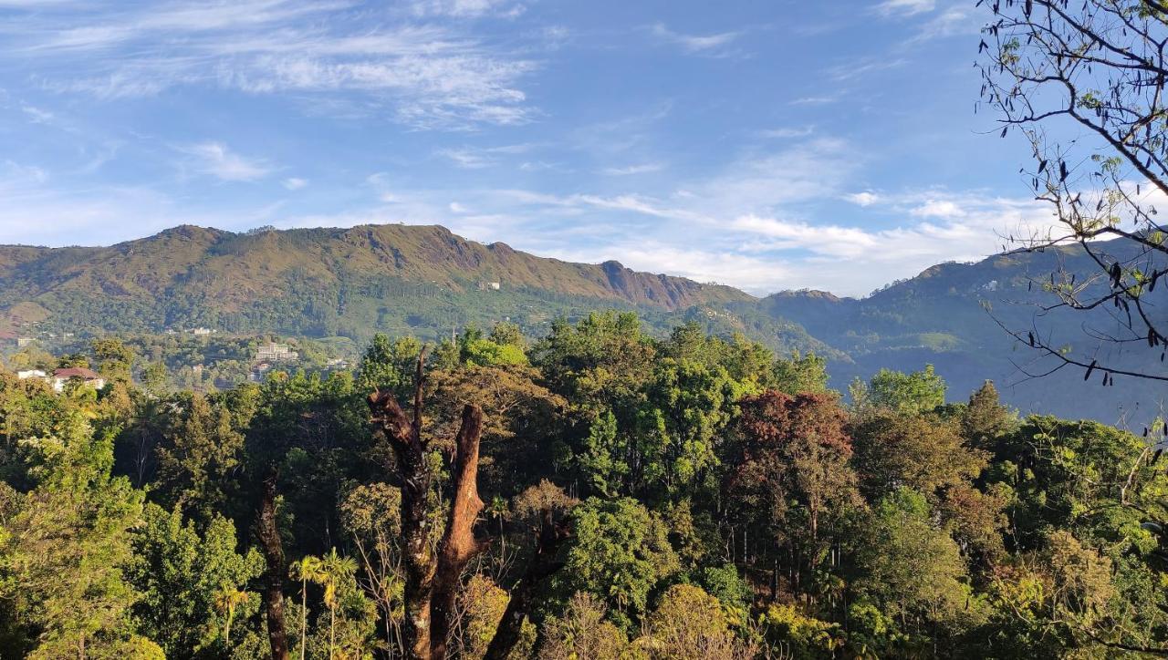 Green Tea View Munnar Dış mekan fotoğraf