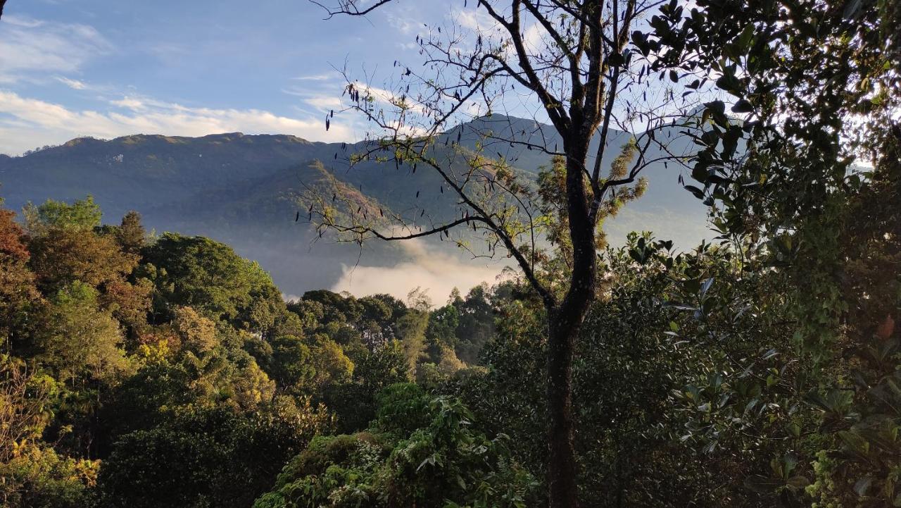 Green Tea View Munnar Dış mekan fotoğraf