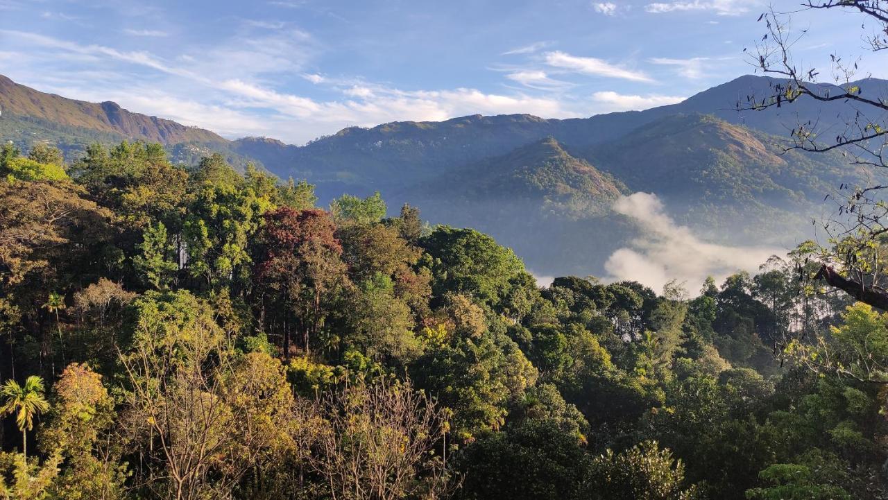 Green Tea View Munnar Dış mekan fotoğraf